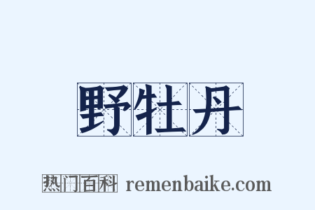 野牡丹是什么意思的图片